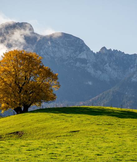 Sauerling Gebirge 